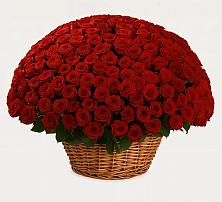 Премиум букет из: Розы #REPLACE_PRED# Уинское